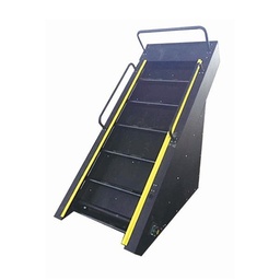 [IF-X6500] Infinité Escaladora Escalera Infinita/Climbing Machine IF-X6500